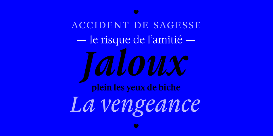 Gauthier Next FY font family sample image.