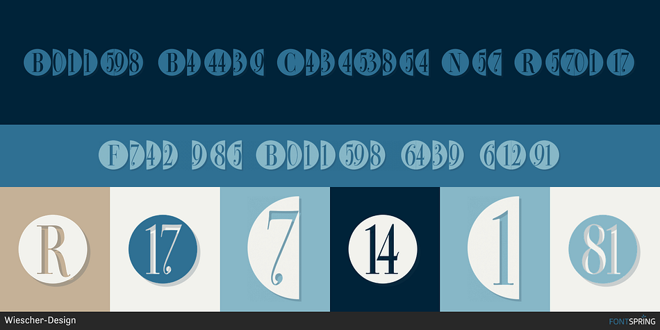 Bullets Bodoni Condensed Neg Regular Font