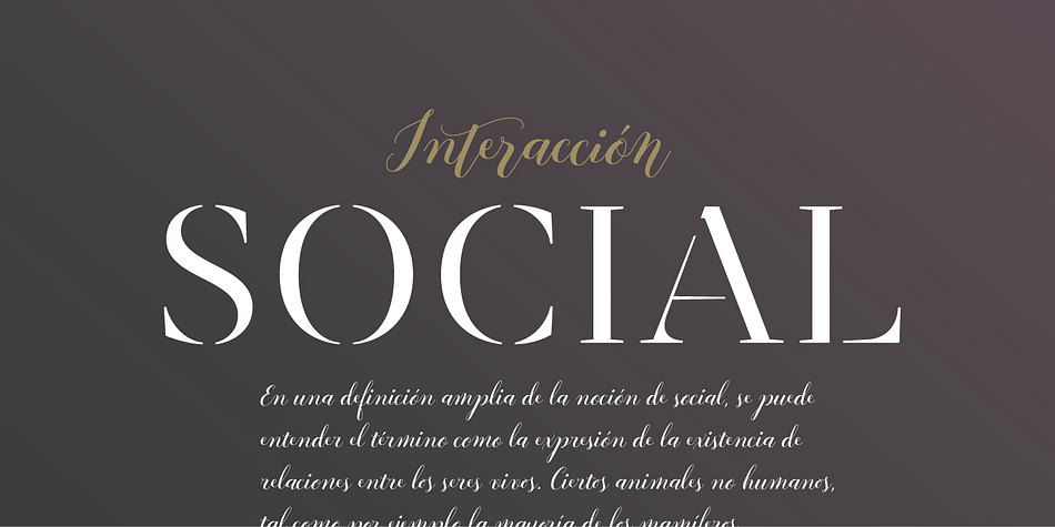 All these features make Revista an ideal typeface for users to design to their liking!