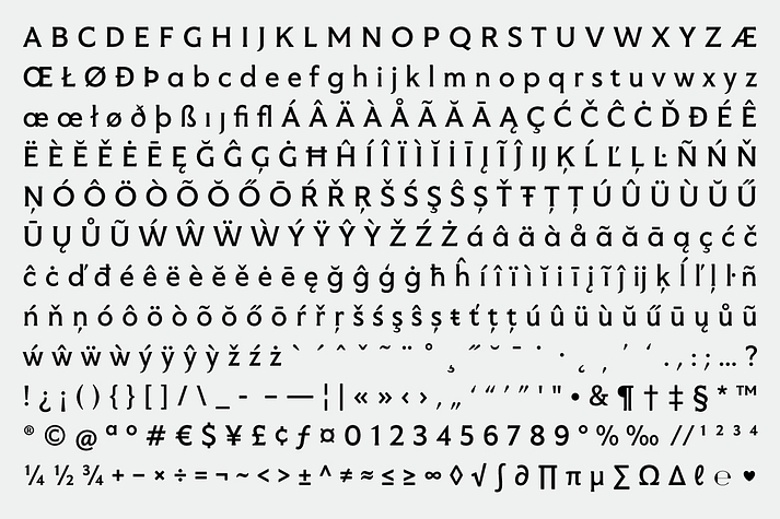 Ilya FY font family example.