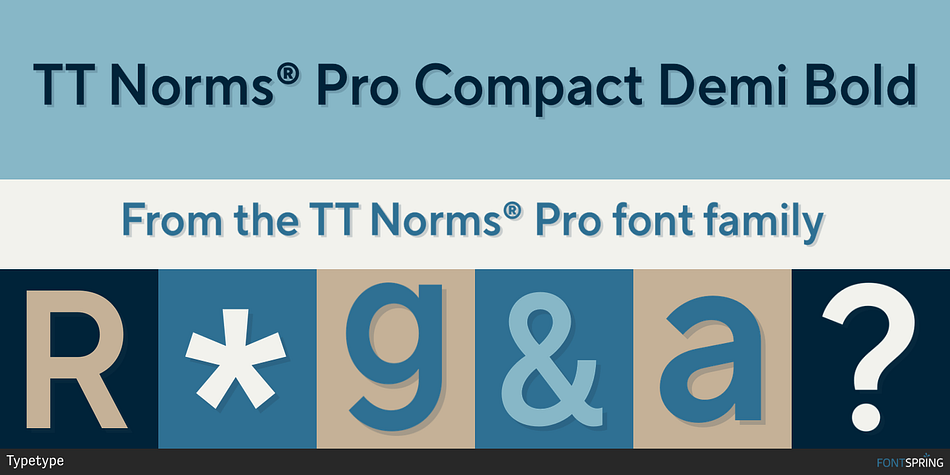 TT Norms® Pro Compact Demi Bold Font