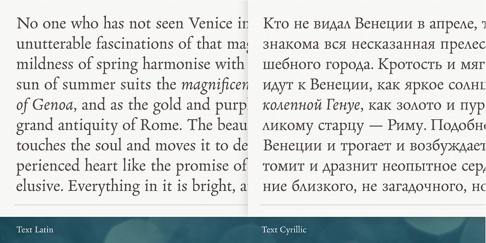 The family comprises different versions optimised for specific point sizes, as was traditional in metal type.