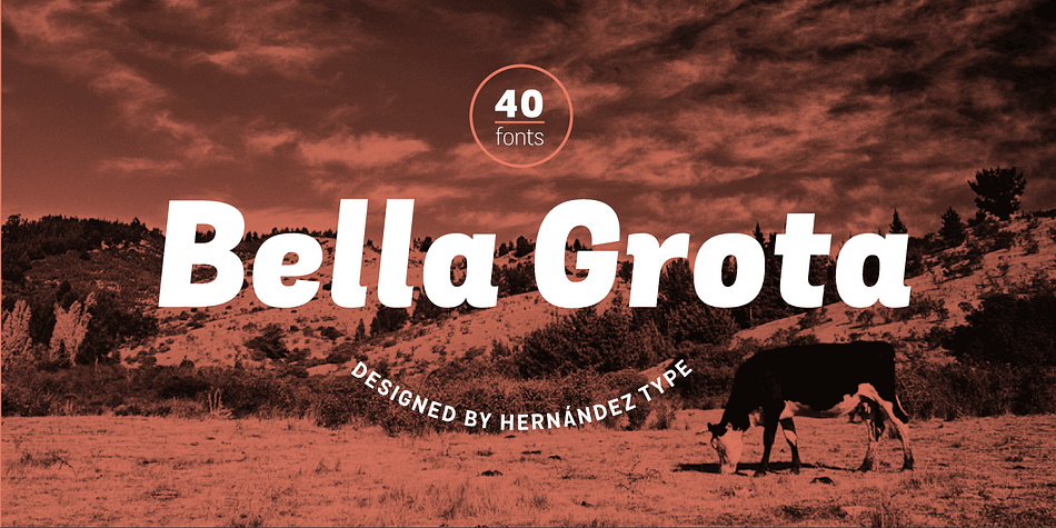 Grota is back in its new Sans version, with a complete family of 40 fonts, 10 different weights and their respective cursives, and an alt version.