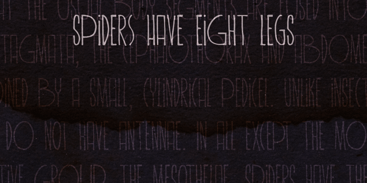 Highlighting the Spiderlegs font family.