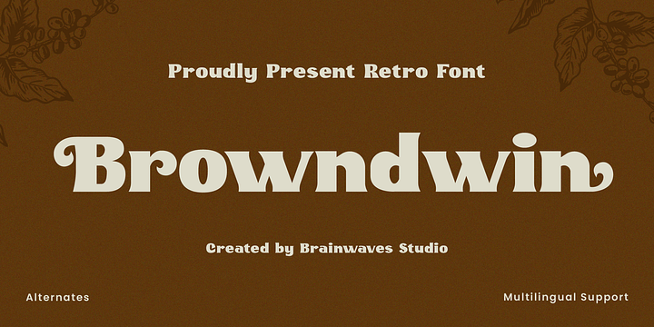 Browndwin Serif Display font family by Brainwaves Studio