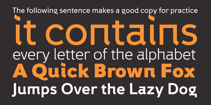 Displaying the beauty and characteristics of the Fox Grotesque font family.