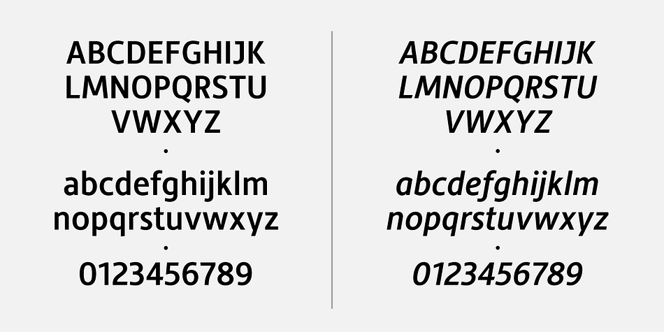 Displaying the beauty and characteristics of the Hedley New font family.