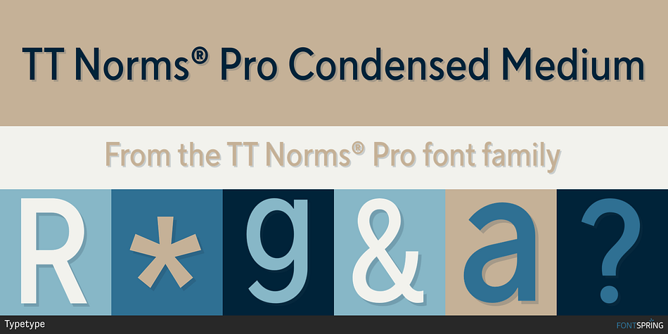 TT Norms® Pro Condensed Medium Font