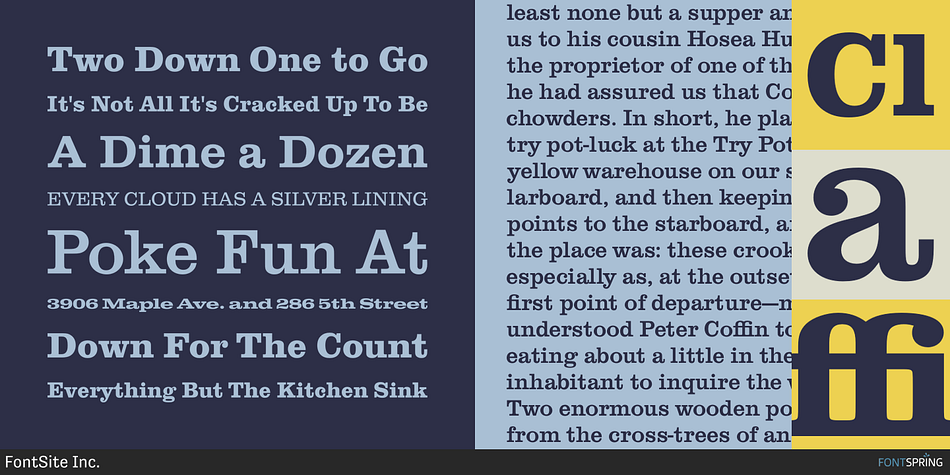 Highlighting the Clarendon FS font family.