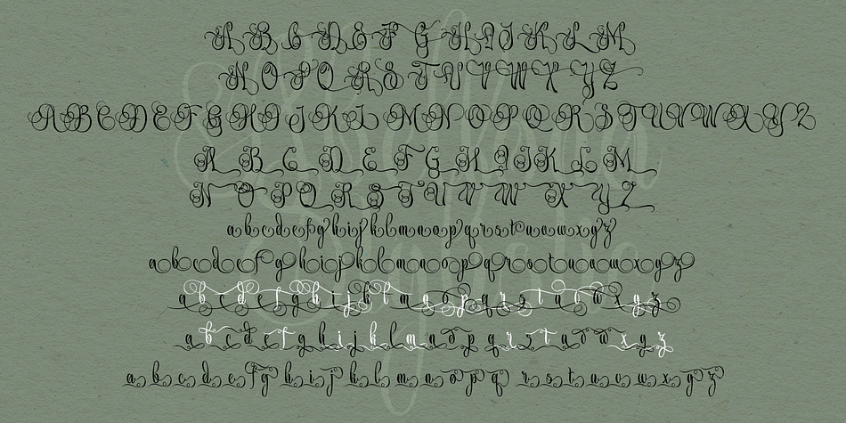 Abellona Script Font