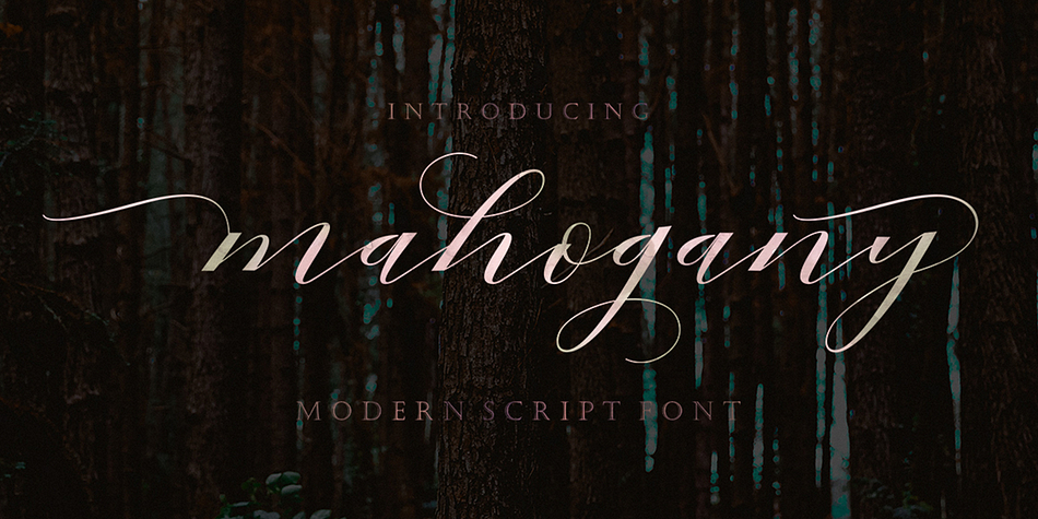 Mahogany Script is a modern hand lettered font, organic and fun with dancing baseline.