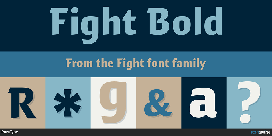 Fight Bold Font