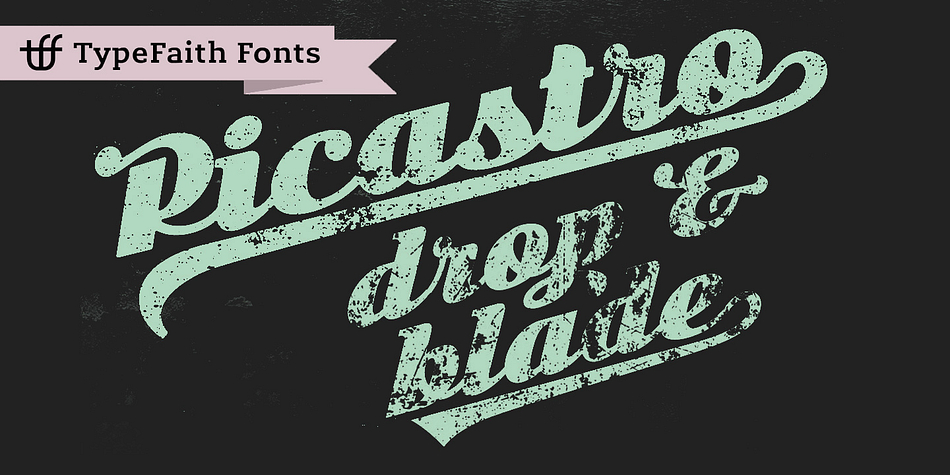 Picastro Bold by TypeFaith Fonts is a firm script with lovely swashes.