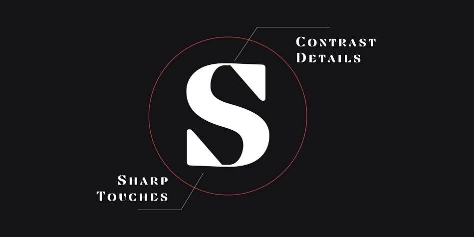 Displaying the beauty and characteristics of the Findel Display font family.