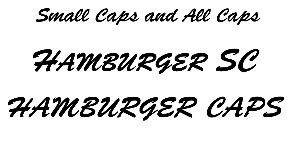 Hamburger Font Family by FontMesa - Fontspring