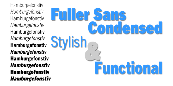 Displaying the beauty and characteristics of the FullerSansDTCond font family.