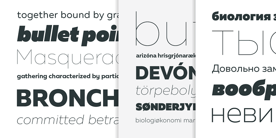 This font family is suited for everything, raging from advertising, packaging, editorial and branding, to web and screen projects.