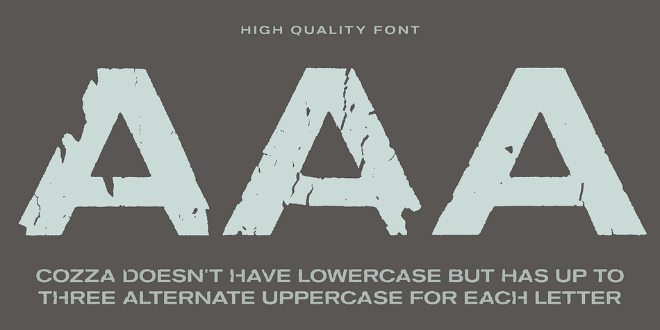 Font Cozza, for each character has three alternative characters with their automatic replacement.