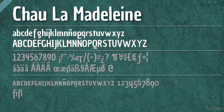 Highlighting the Chau la madeleine font family.