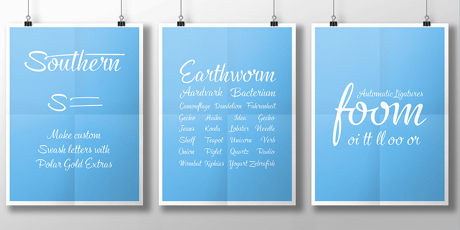 Cold Brew is equipped with OpenType features to give you tools for custom-looking design: turn on Stylistic Alternates or Swash in any OpenType savvy program for flashier letters or manually select from even more Alternates from Glyph Palette.
