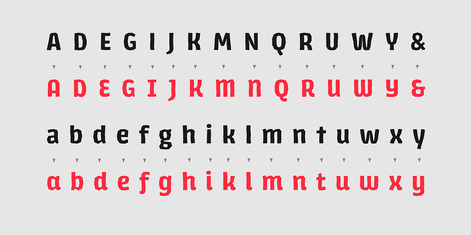 Highlighting the Los Lana Niu font family.