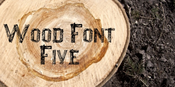 Displaying the beauty and characteristics of the WoodFontFive font family.