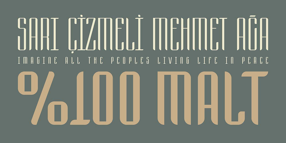 The source of inspiration of this typeface is "barley"
This typeface has three styles. Extensive Latin language support and features multiple weights.