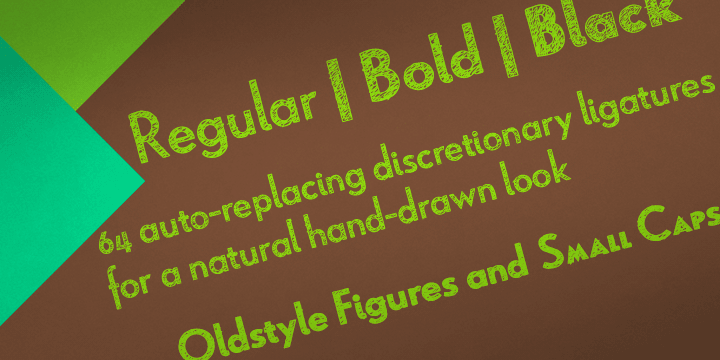 All members of the family include Sixty-four OpenType ligatures that add a realistic, natural effect and ensure that no two letters in a word repeat, oldstyle figures and small caps.
