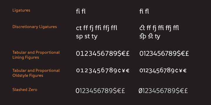 Highlighting the Fox Grotesque font family.