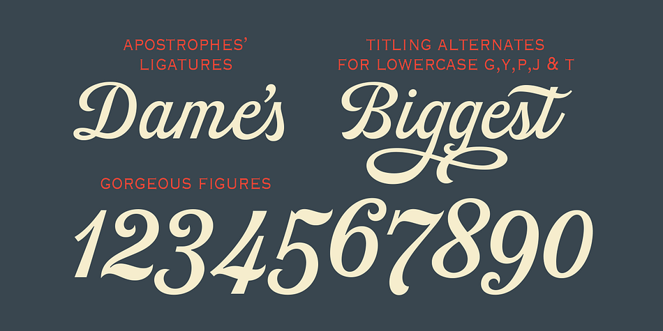 Script Font Apotheosis