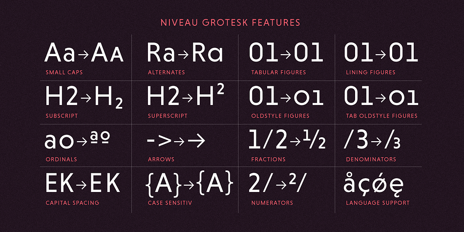 Niveau Grotesk is equipped for complex, professional typography with alternate letters, arrows, fractions and an extended character set to support Central and Eastern European as well as Western European Languages.