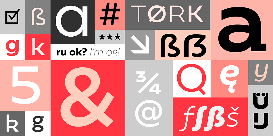 Emphasizing the popular Geometrica font family.