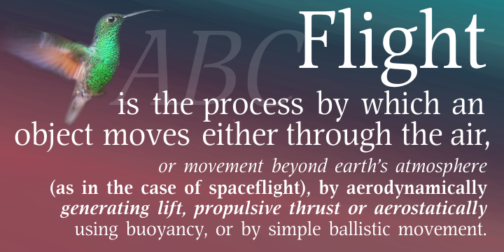 Elegant text and display type family of narrow proportions with distinguishing detail — open junctions in the places where ovals come to vertical stems in B, P, R.