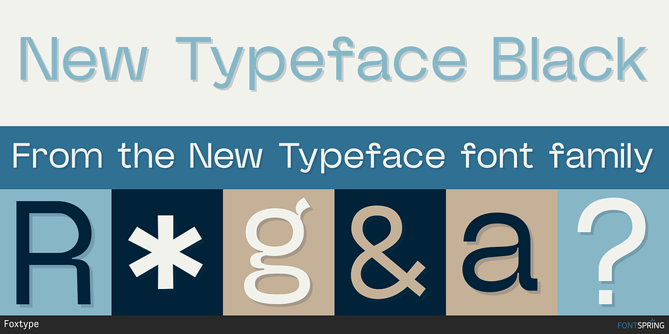 New Typeface Black Font