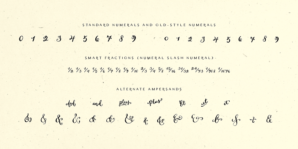 Emphasizing the popular Dasha font family.