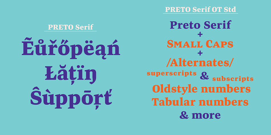Highlighting the Preto Serif font family.