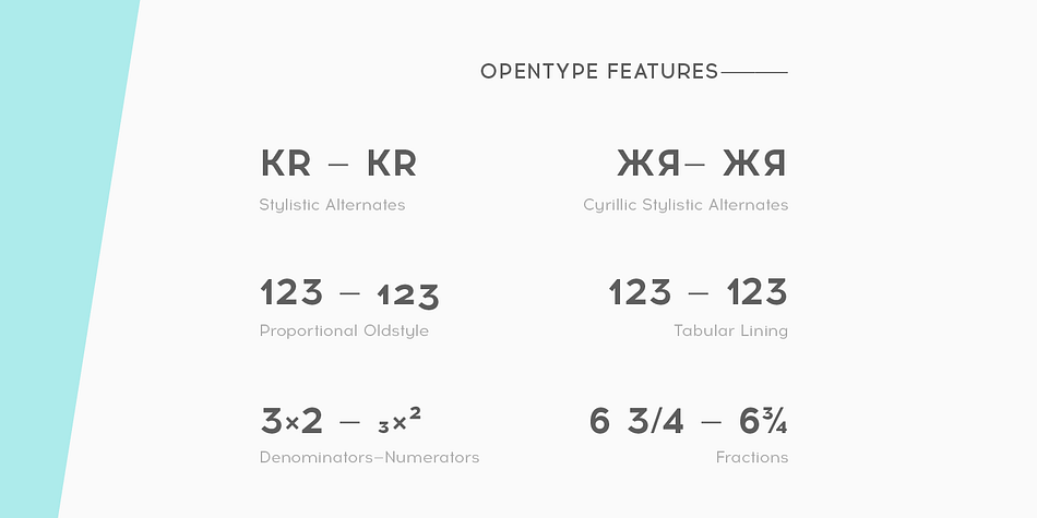 Details include 500 characters, manually edited kerning and Opentype features.