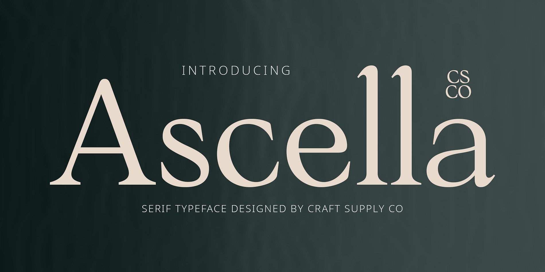 Ascella