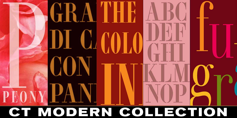  CastleType Modern font collection, a multiple classification collection by CastleType.