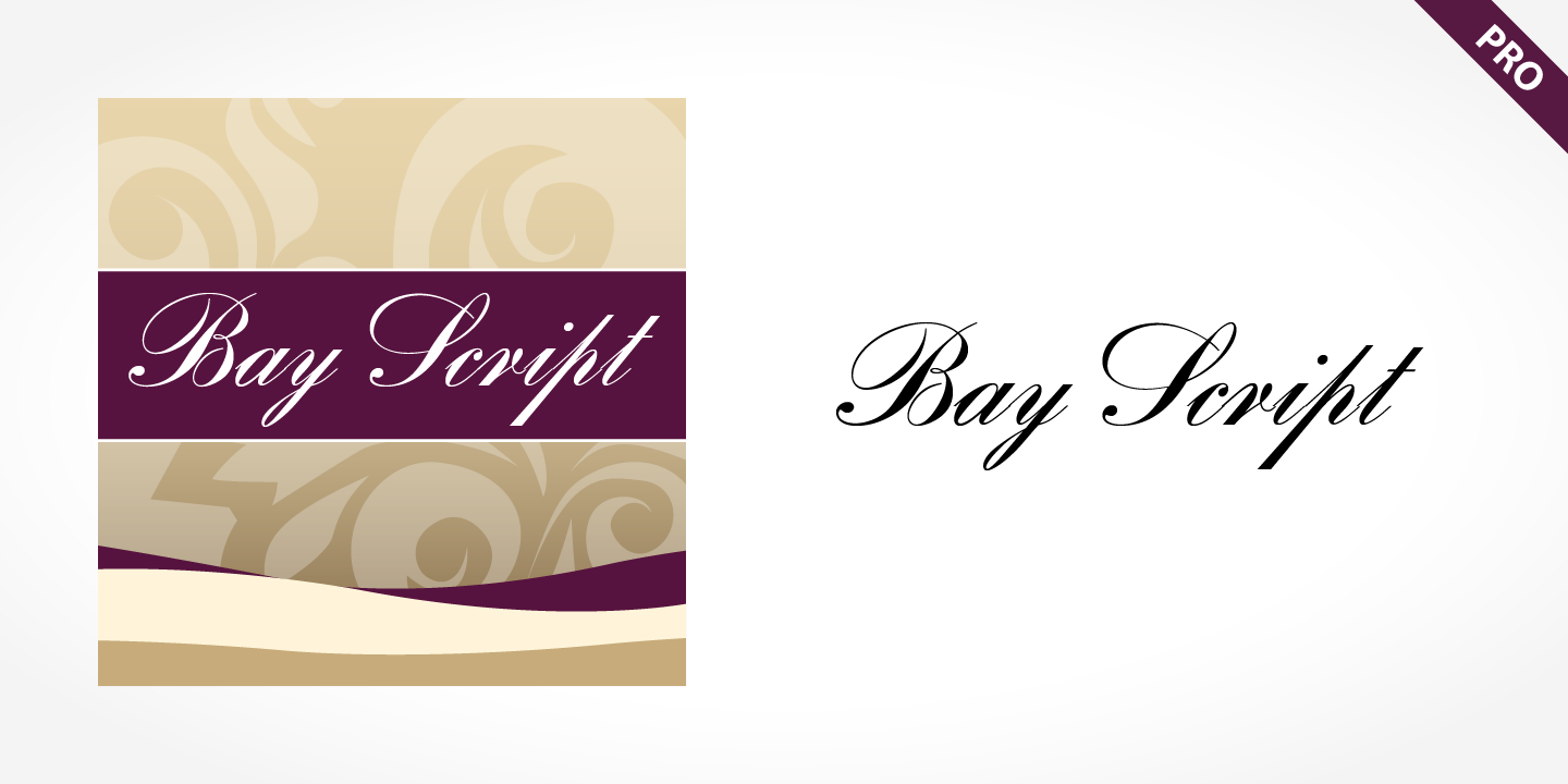 Bay Script Pro