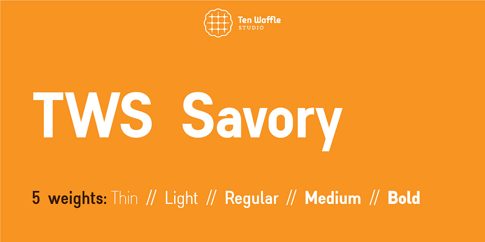 Displaying the beauty and characteristics of the TWS Savory font family.