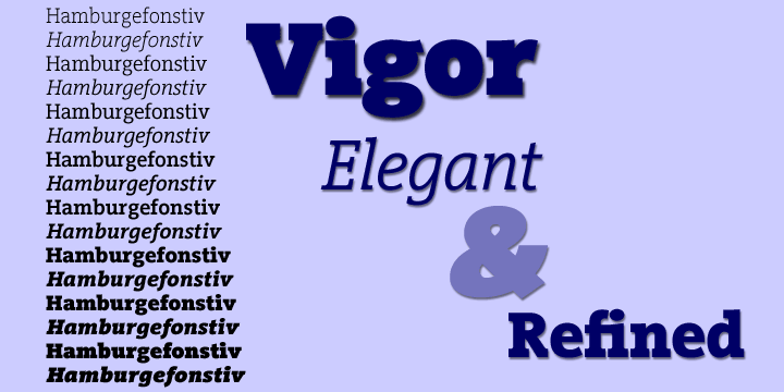 Displaying the beauty and characteristics of the VigorDT font family.