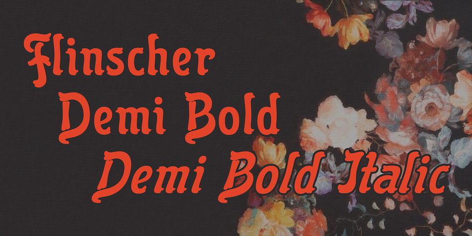 Displaying the beauty and characteristics of the Flinscher font family.