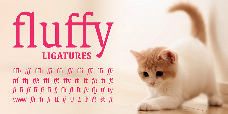 Displaying the beauty and characteristics of the Destra font family.