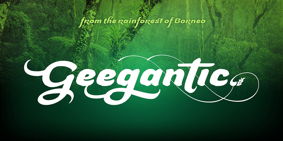 The rainforest of Borneo which has a wealth of big trees and lush is the basis of inspiration of the Geegantic font.