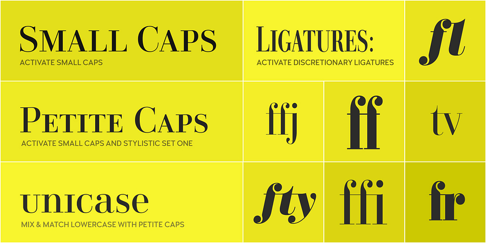 Didonesque font family example.