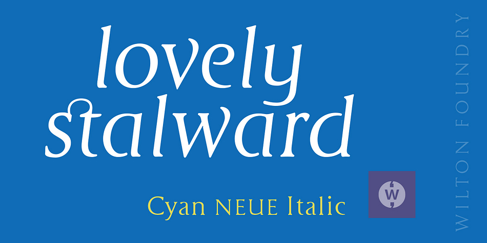 Emphasizing the favorited Cyan Neue font family.