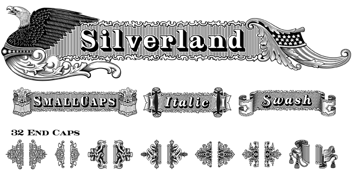 Silverland is a revival of an old type font from the Bruce Type Foundry of New York, the original font from 1874 included uppercase only plus 22 end caps.