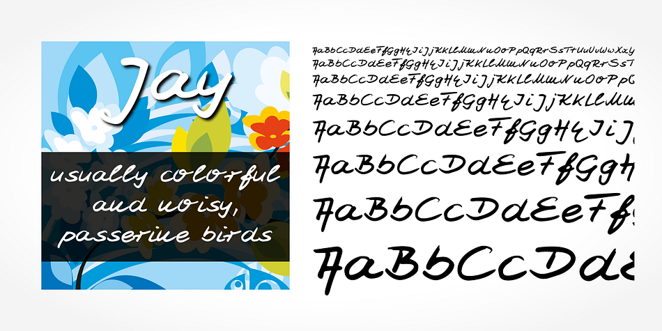 “Jay Handwriting Pro” is a beautiful typeface that mimics true handwriting closely.