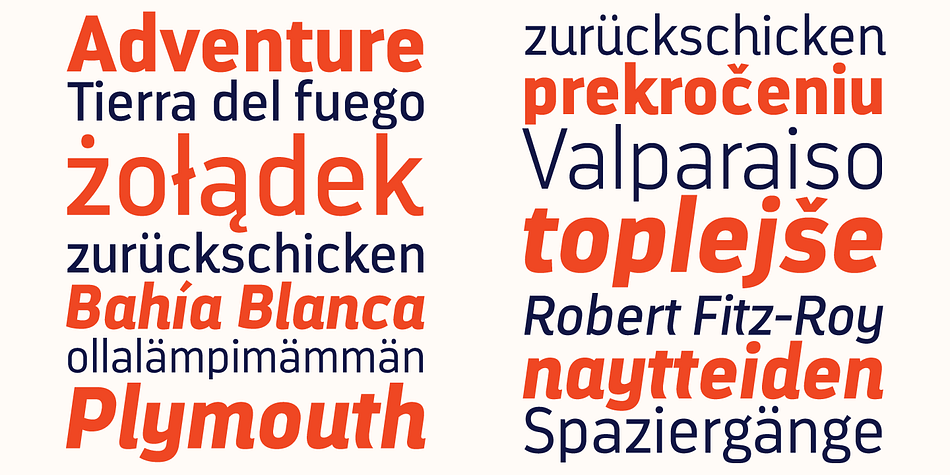 Darwin includes 6 OpenType features including Standard Ligatures.